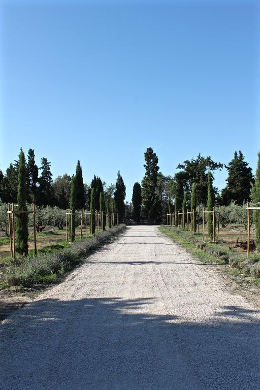 Domaine De Fontbelle Bed and Breakfast Graveson Buitenkant foto