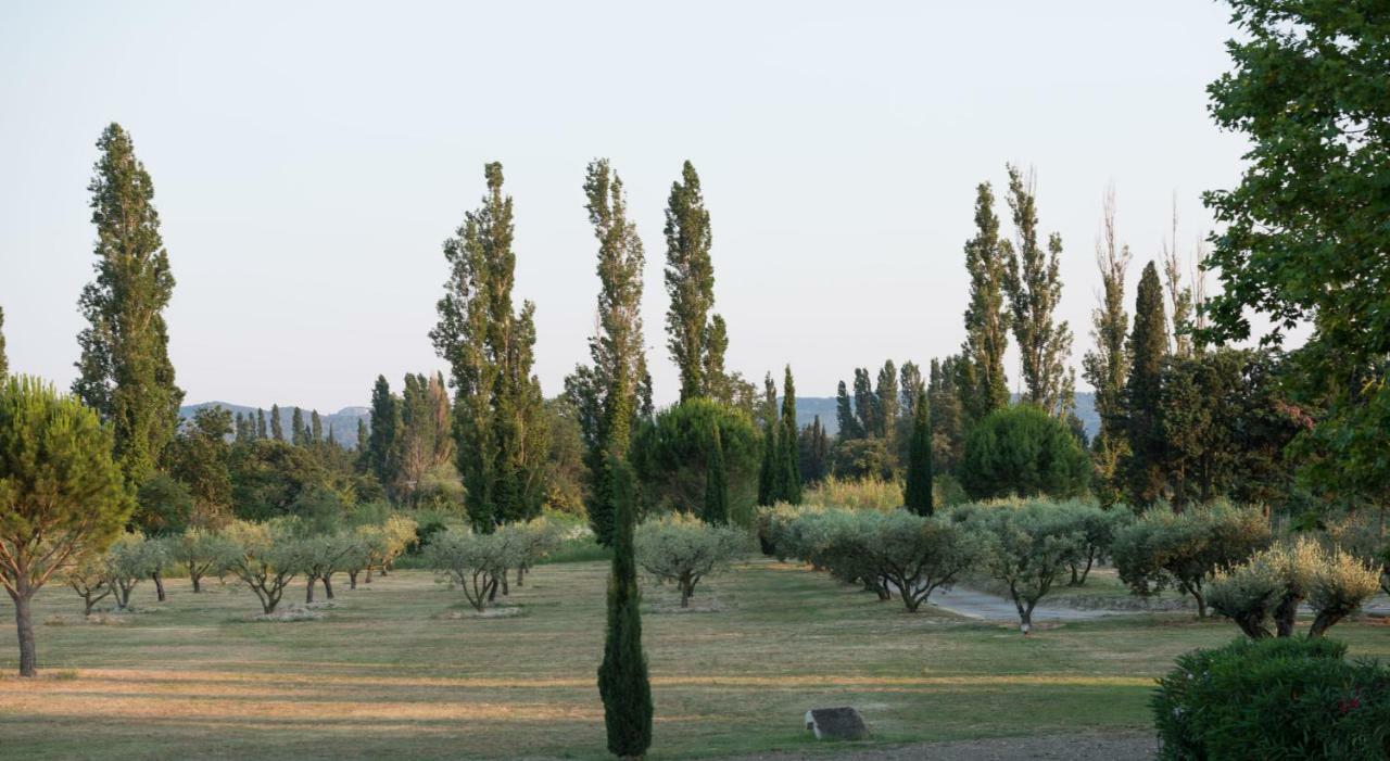 Domaine De Fontbelle Bed and Breakfast Graveson Buitenkant foto